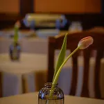 Bark - 3* Brasov