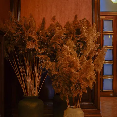 Hotel Bark - Braşov