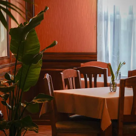 Bark - Hotel Braşov