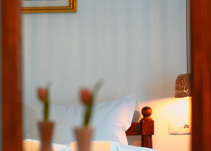 Bark - Hotel Braşov