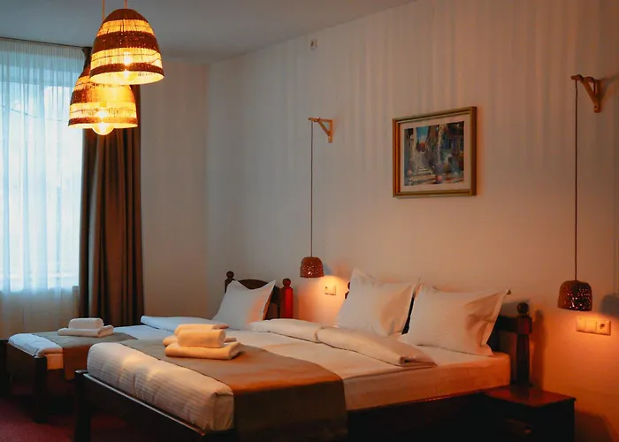 Bark - Hotel Braşov