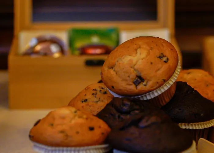 Bark - Hotel Braşov