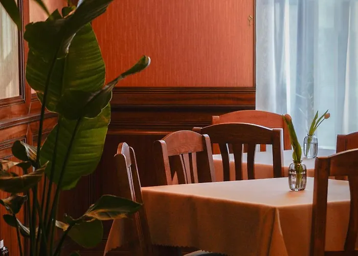 Bark - Hotel Braşov